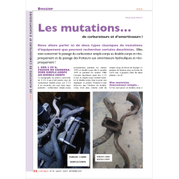 Les mutations de...